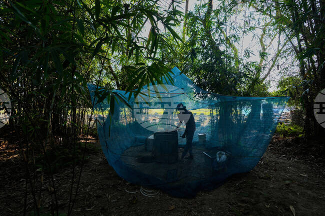 APTOPIX Climate India Migratory Beekeepers