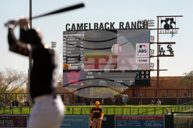 Spring Training Baseball