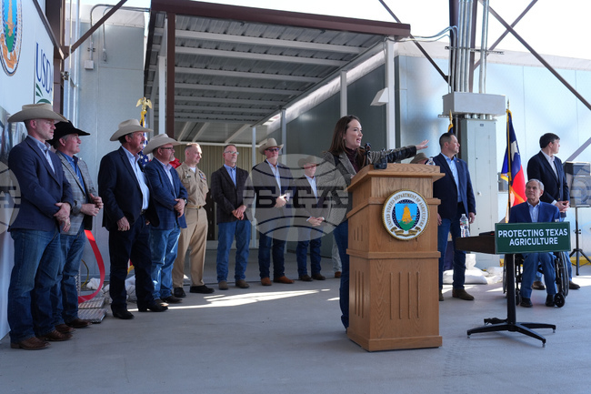 Screwworm Prevention