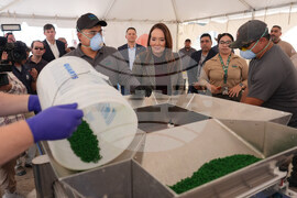 Screwworm Prevention