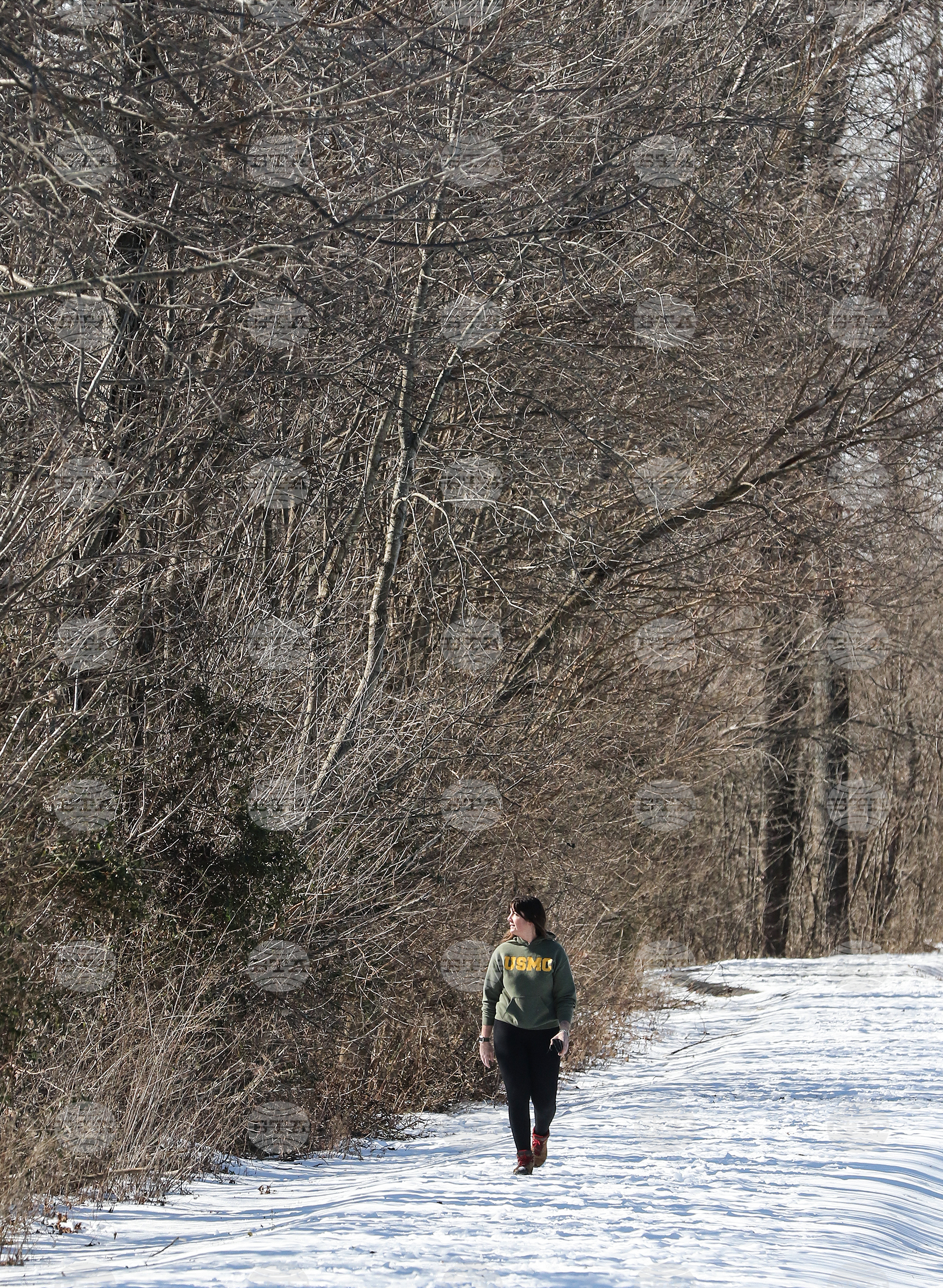 Wintery Weather Kentucky