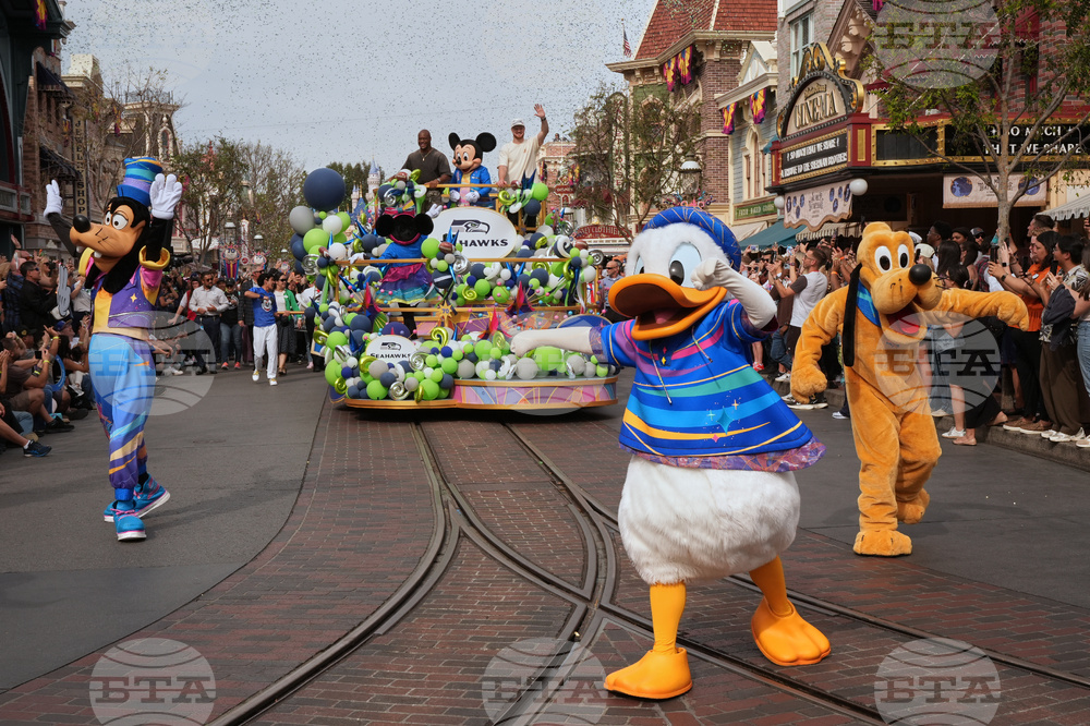 Super Bowl Disneyland