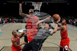 Bulls Nets Basketball