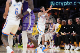 Thunder Lakers Basketball