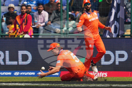 Namibia Netherlands T20 WCup Cricket