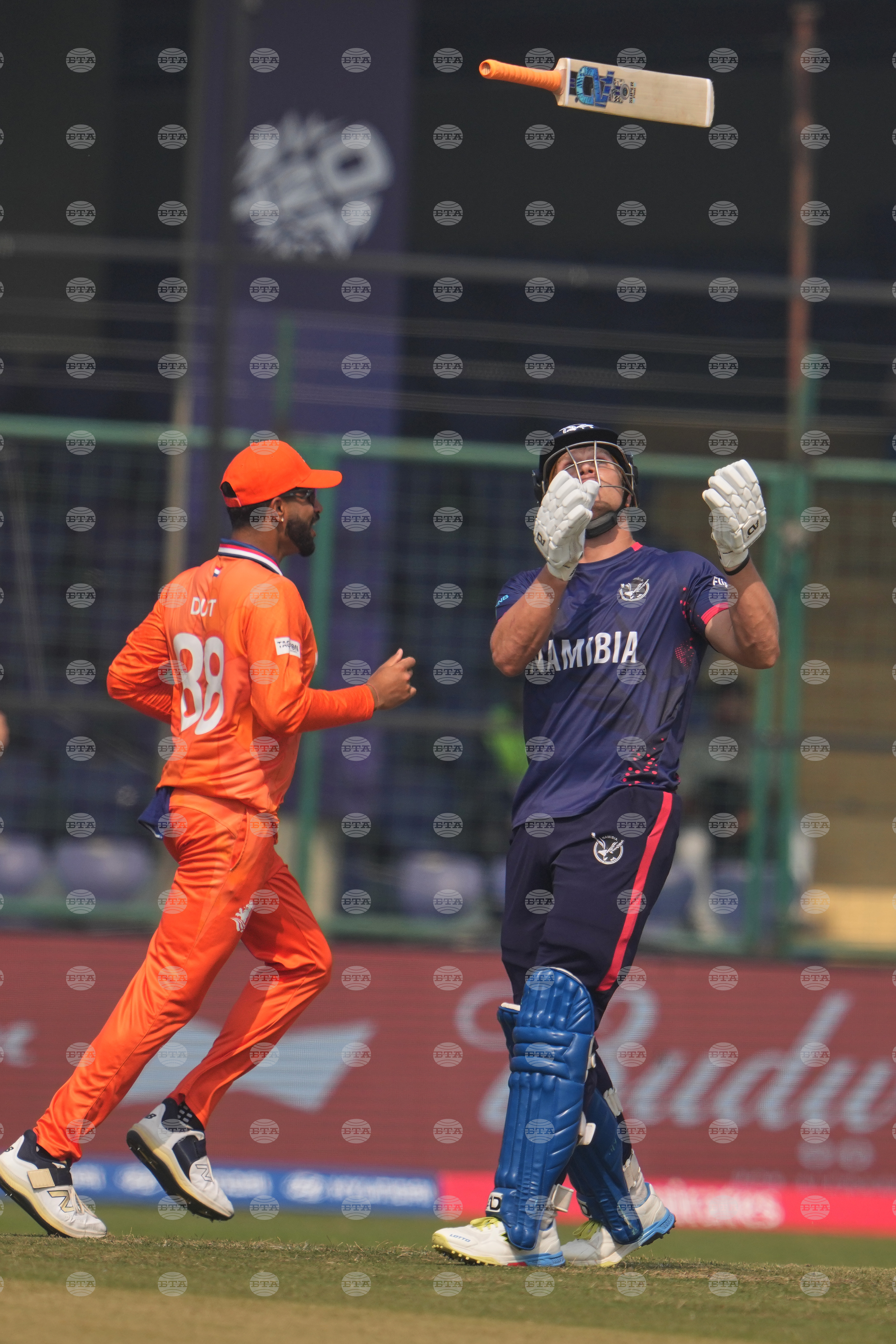 Namibia Netherlands T20 WCup Cricket