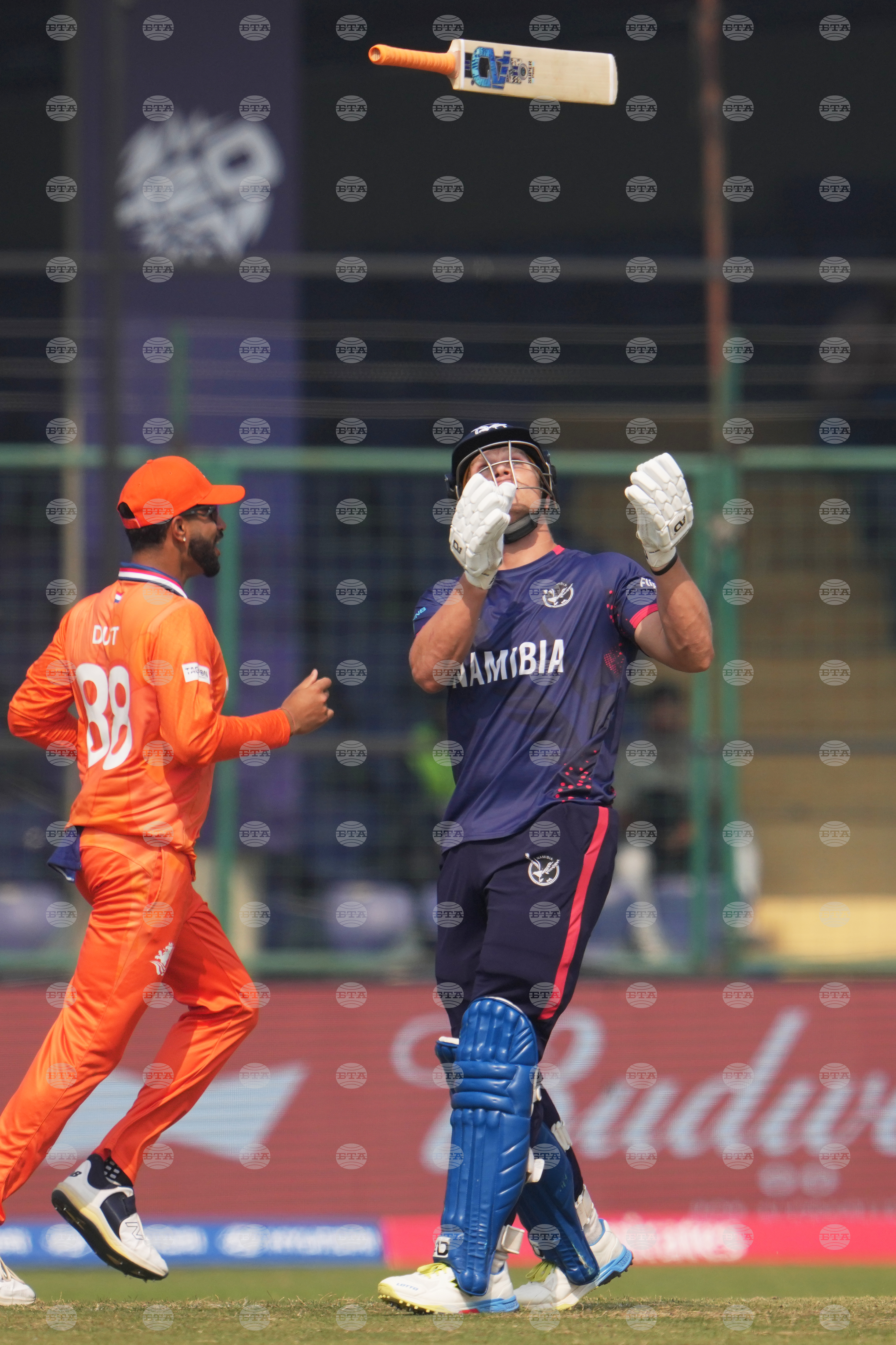 Namibia Netherlands T20 WCup Cricket