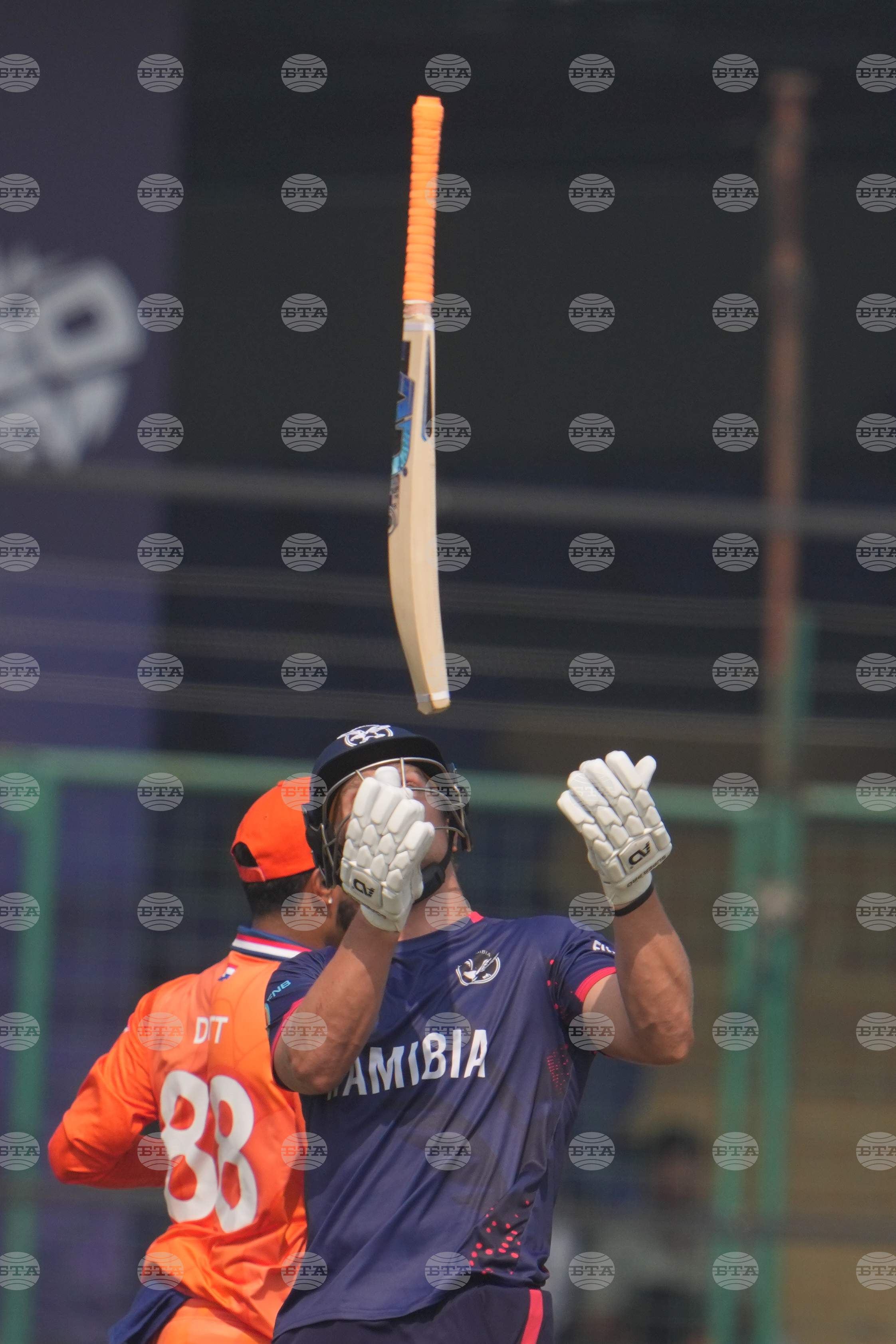 Namibia Netherlands T20 WCup Cricket