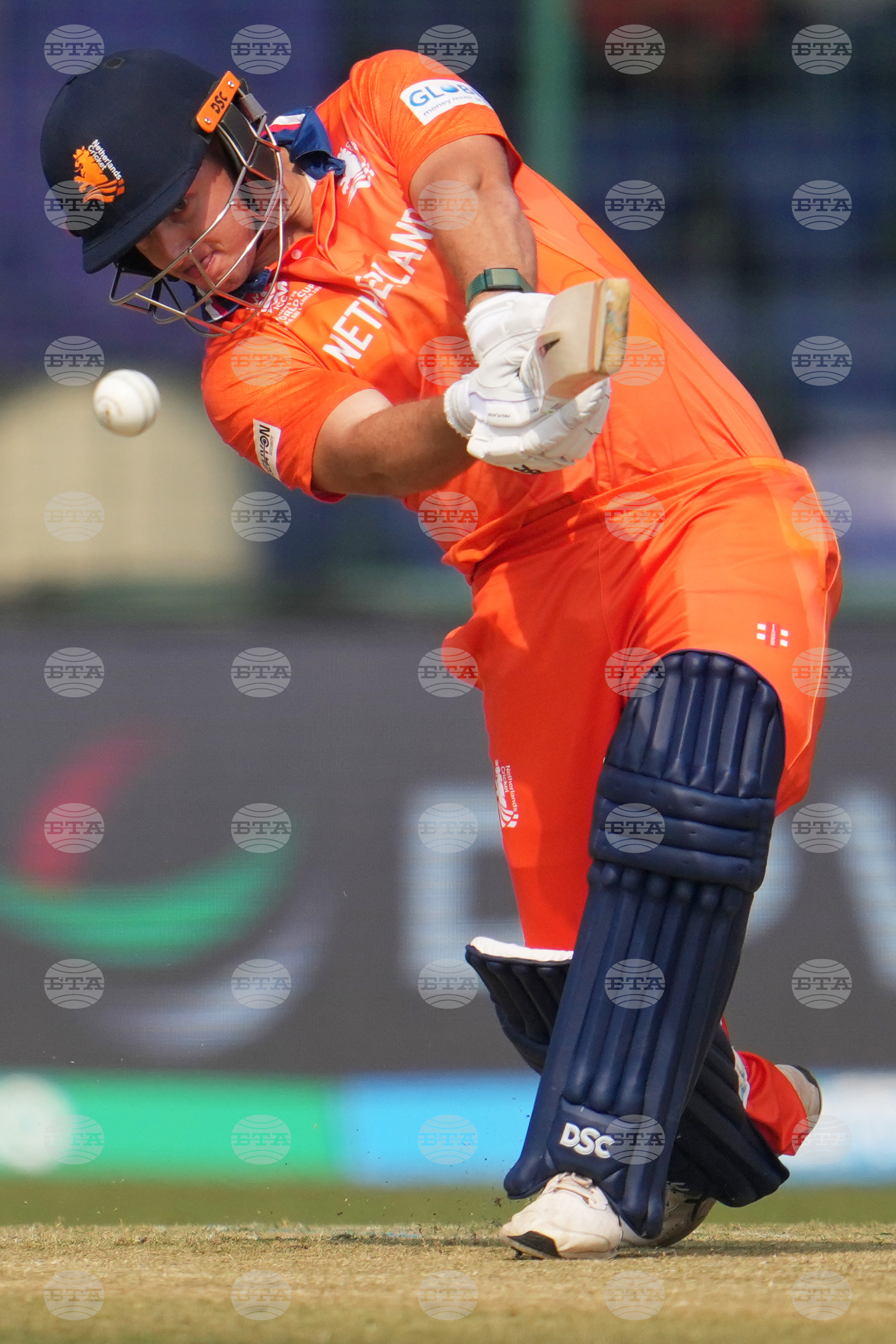 Namibia Netherlands T20 WCup Cricket