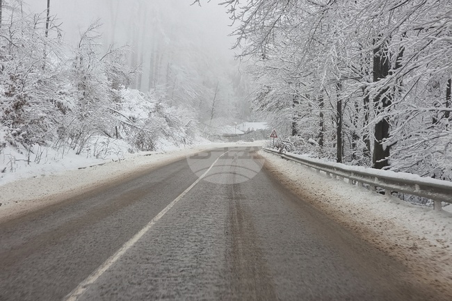 Всички пътища в Монтанско са проходими след падналия през нощта нов сняг, 37 машини са чистили и опесъчавали