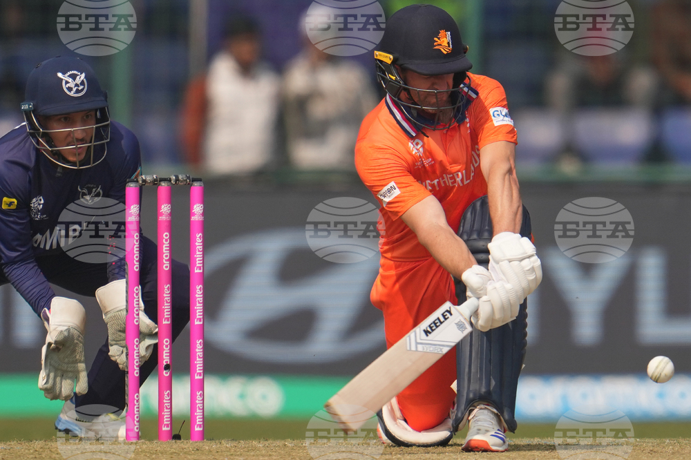 Namibia Netherlands T20 WCup Cricket