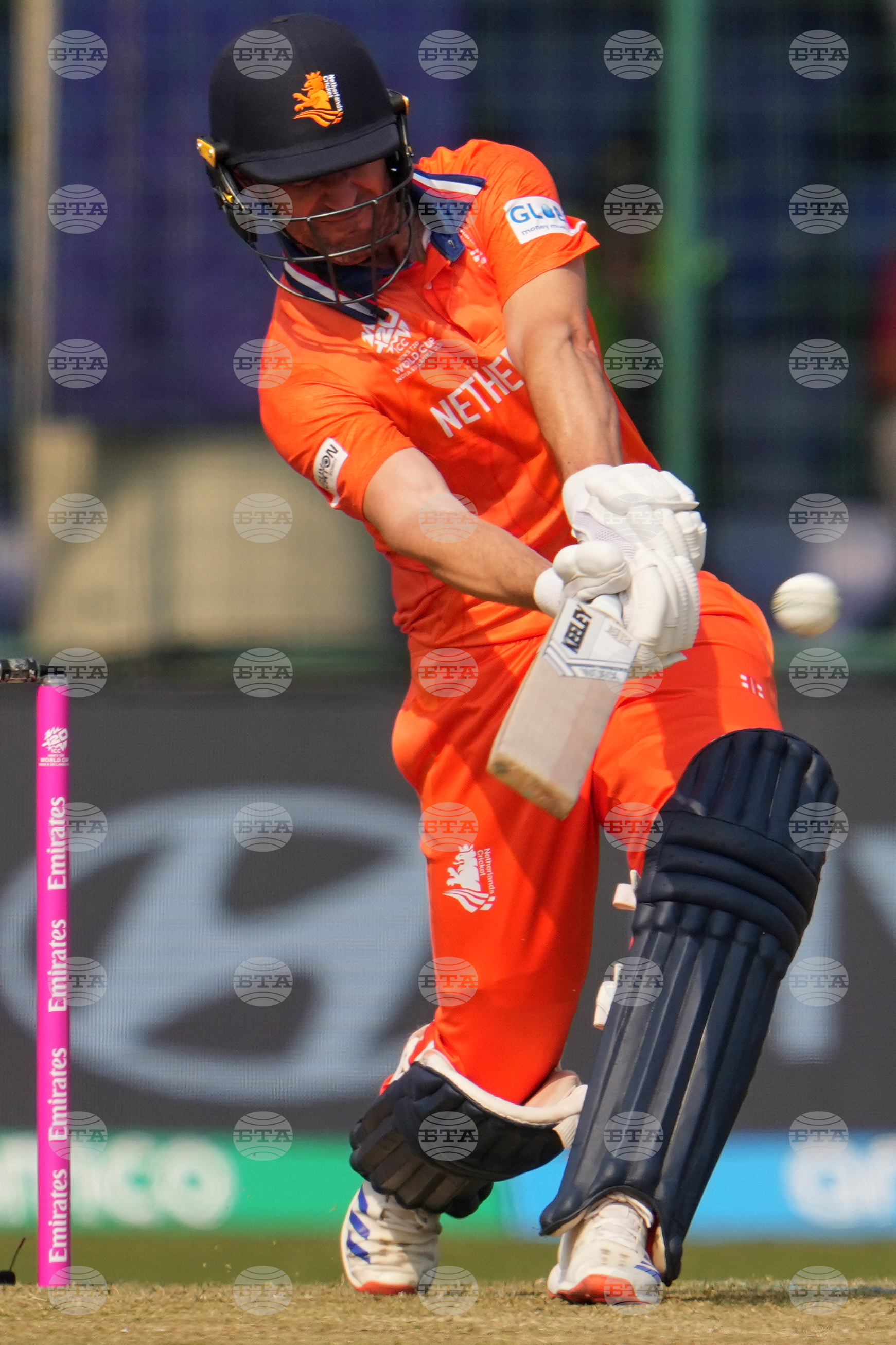 Namibia Netherlands T20 WCup Cricket