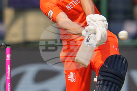 Namibia Netherlands T20 WCup Cricket