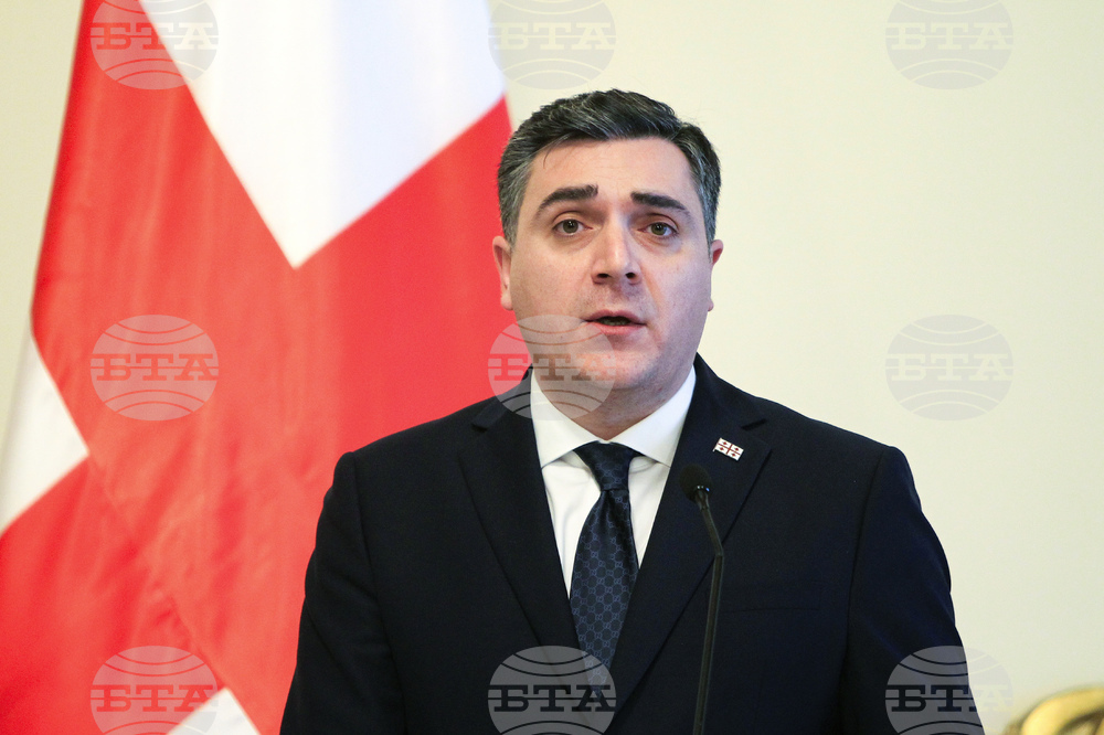Georgian Foreign Minister to Pay Working Visit on Friday