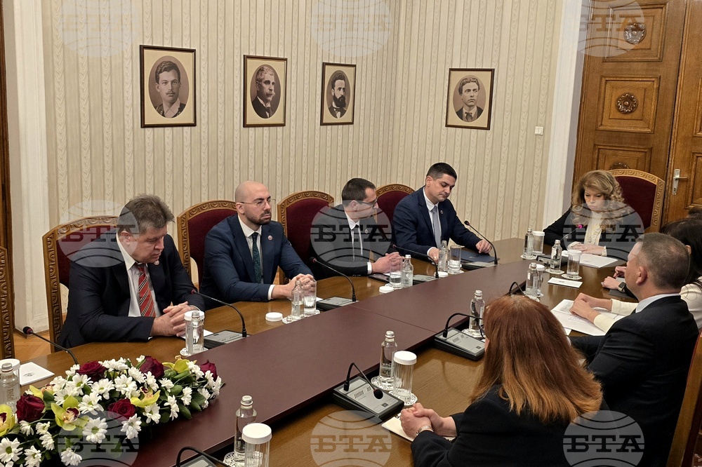 Единствената възможна кандидатура за служебен премиер е тази на подуправителя на БНБ Андрей Гюров, каза Радостин Василев; от МЕЧ напуснаха консултациите при президента