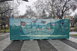 Пловдив - изложба „Уязвимите“ - откриване