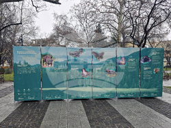 Пловдив - изложба „Уязвимите“ - откриване