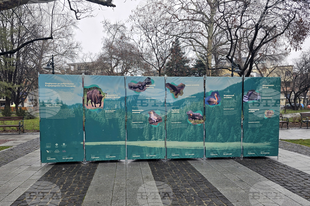 Пловдив - изложба „Уязвимите“ - откриване