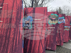 Пловдив - изложба „Уязвимите“ - откриване