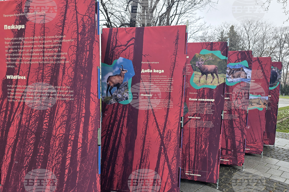 Пловдив - изложба „Уязвимите“ - откриване