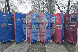 Пловдив - изложба „Уязвимите“ - откриване