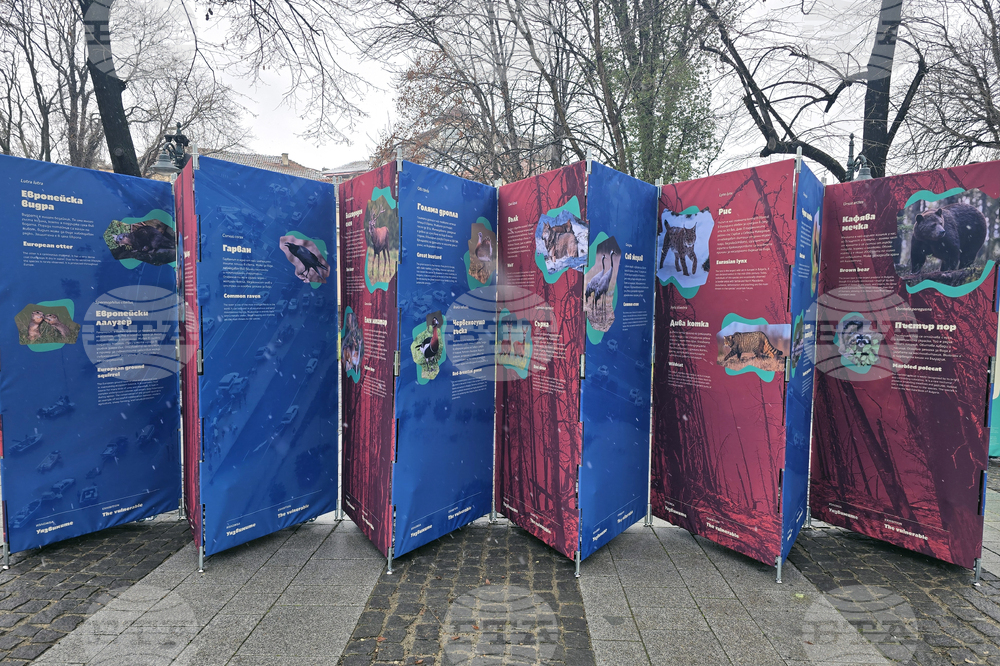 Пловдив - изложба „Уязвимите“ - откриване