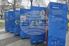 Пловдив - изложба „Уязвимите“ - откриване