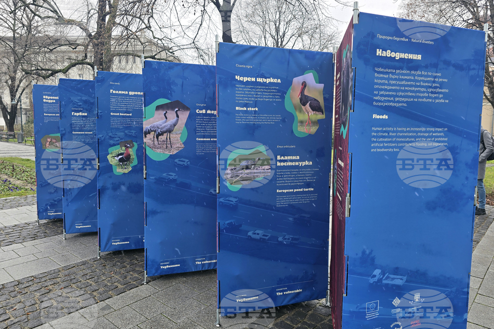 Пловдив - изложба „Уязвимите“ - откриване