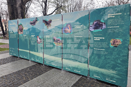 Пловдив - изложба „Уязвимите“ - откриване