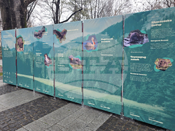 Пловдив - изложба „Уязвимите“ - откриване