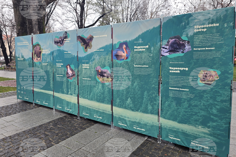 Пловдив - изложба „Уязвимите“ - откриване