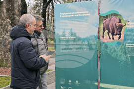 Пловдив - изложба „Уязвимите“ - откриване