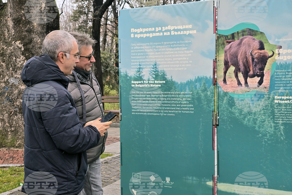 Изложбата „Уязвимите” в Пловдив представя редки и защитени животински видове 