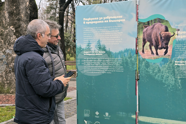 Пловдив - изложба „Уязвимите“ - откриване
