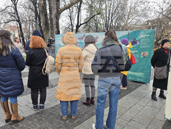 Пловдив - изложба „Уязвимите“ - откриване