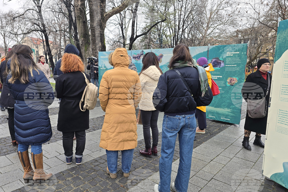 Пловдив - изложба „Уязвимите“ - откриване