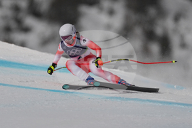 Milan Cortina Olympics Alpine Skiing