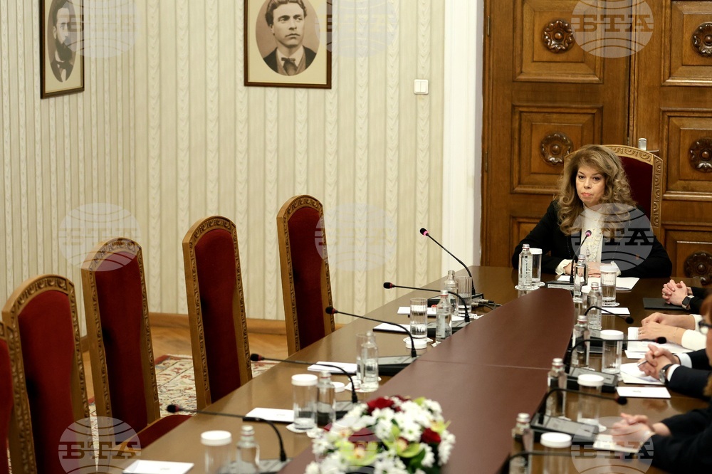 President Iotova Says She Does Not Renounce Her Biography After MECh Walks Out of Future Caretaker PM Talks