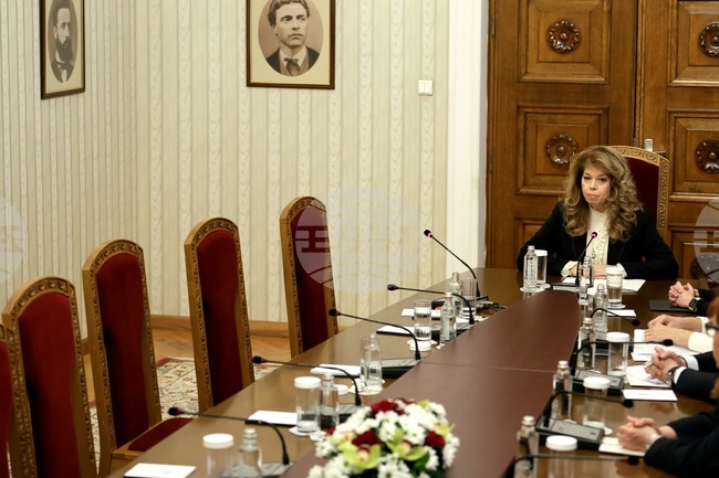 President Iotova Says She Does Not Renounce Her Biography After MECh Walks Out of Future Caretaker PM Talks