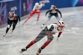 Milan Cortina Olympics Short Track Speedskating