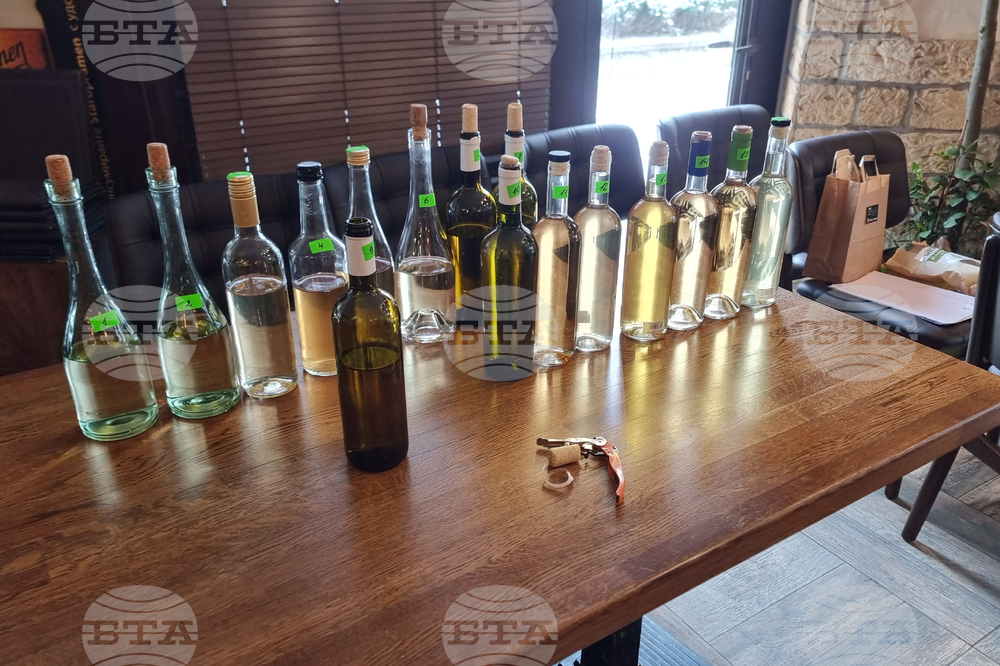 Добрич - конкурс за вино