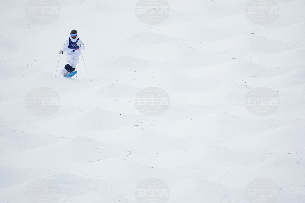 Milan Cortina Olympics Freestyle Skiing