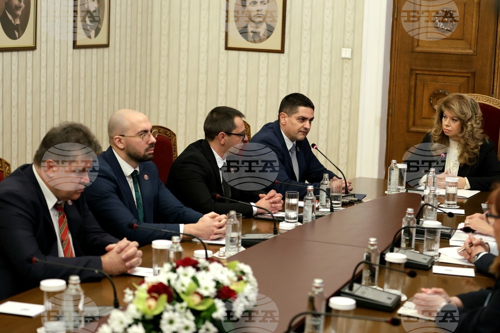 Президентство - "Морал, единство, чест" - консултации