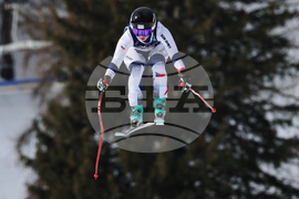 Milan Cortina Olympics Alpine Skiing