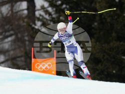 Milan Cortina Olympics Alpine Skiing