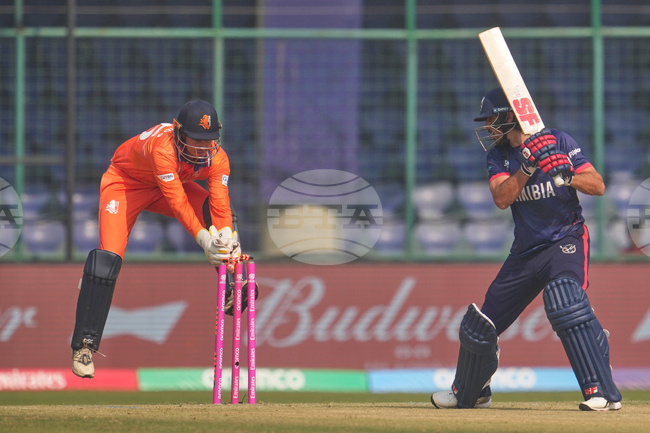 APTOPIX Namibia Netherlands T20 WCup Cricket