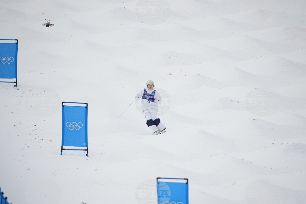 Milan Cortina Olympics Freestyle Skiing