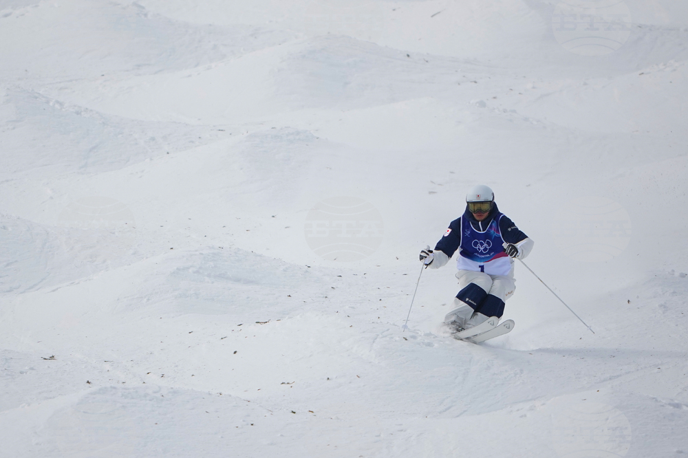 Milan Cortina Olympics Freestyle Skiing