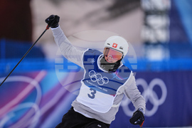 Milan Cortina Olympics Freestyle Skiing