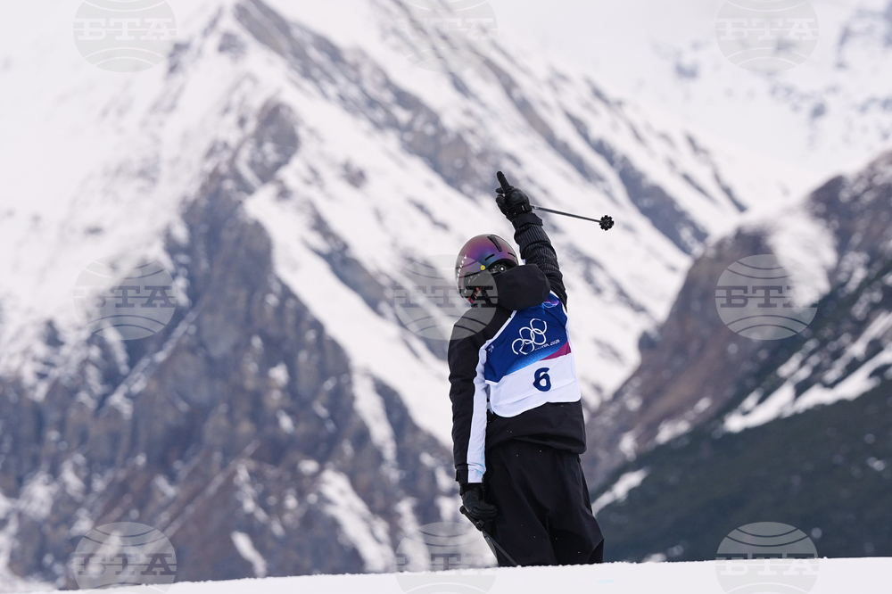 Milan Cortina Olympics Freestyle Skiing